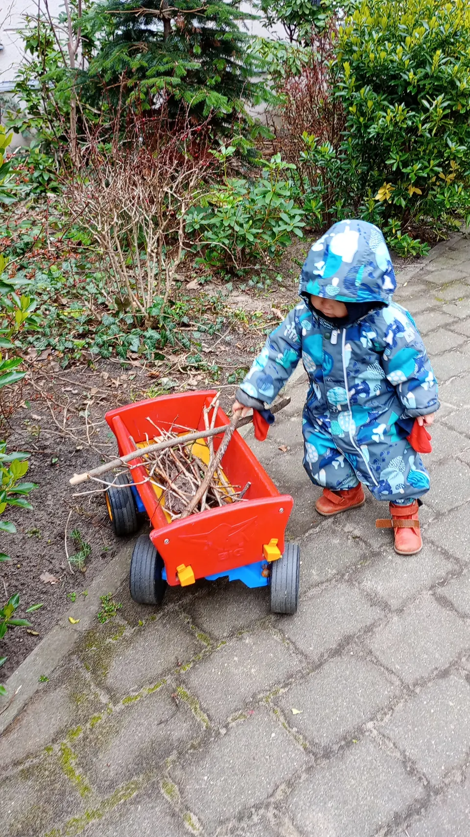 Ein Kind zieht im Herbst einen Bollerwagen mit Zweigen