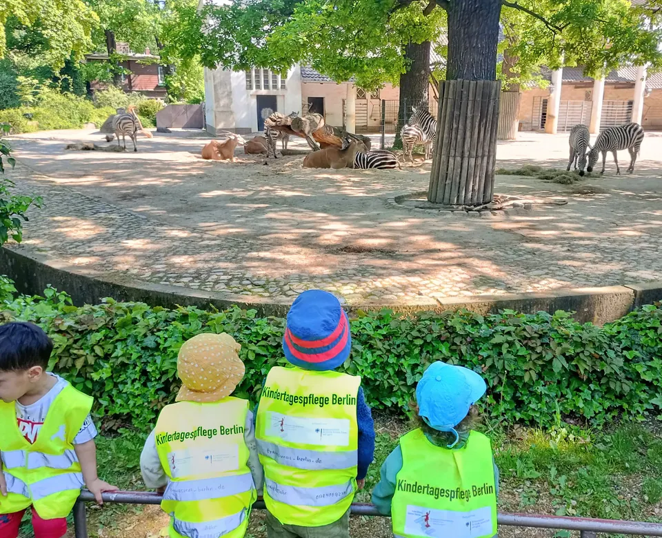 Kinder in Warnwesten blicken im Zoo über ein Geländer auf ein Gehege